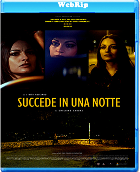 Succede in una notte